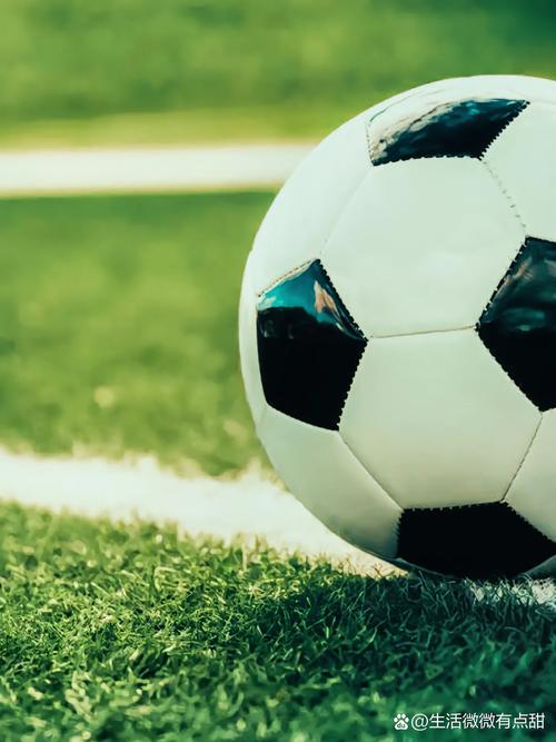 足球比赛数据分析可视化界面